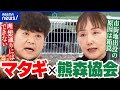【クマ駆除】個体数を減らせる?ヒト襲う異常事態どう対応?熊森協会&times;マタギと議論|アベプラ