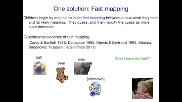 What is the age range for fast mapping?