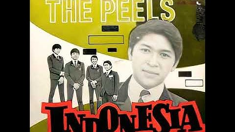 DIGITALLY REMASTERED "SERULING DI LEMBAH SUNYI" The Peels 1967