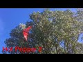 Hot Pepper 2  first test flight in strong wind.