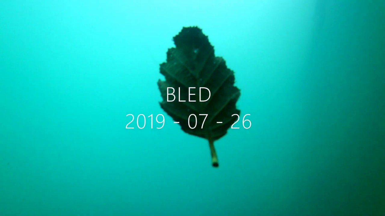 Bled underwater Under the surface of Lake Bled 2019 (I.) YouTube