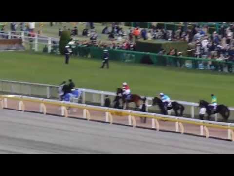 2015.11.1 現地映像 天皇賞秋 本馬場入場 オール重賞勝ち馬  ラブリーデイ