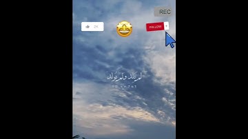 سورة الإخلاص القرآن الكريم راحة نفسية ❤️🔥❤️ #القرآن_الكريم