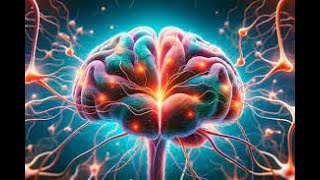 Neuroscience reveals secret of handwriting behind brain activity