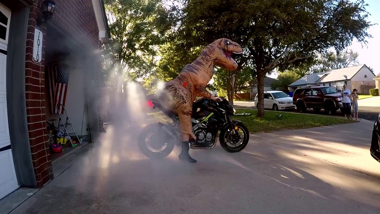 Z900 Trex Burn out!!! YouTube