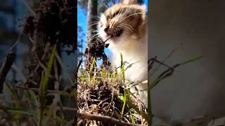 In One Word Spring. Cat Plyukh.