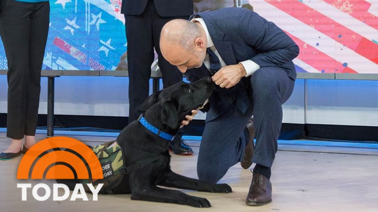 TODAY Puppy Charlie Shows How He’d Get Help In An Emergency TODAY