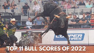 Top 11 Bull Scores of 2022