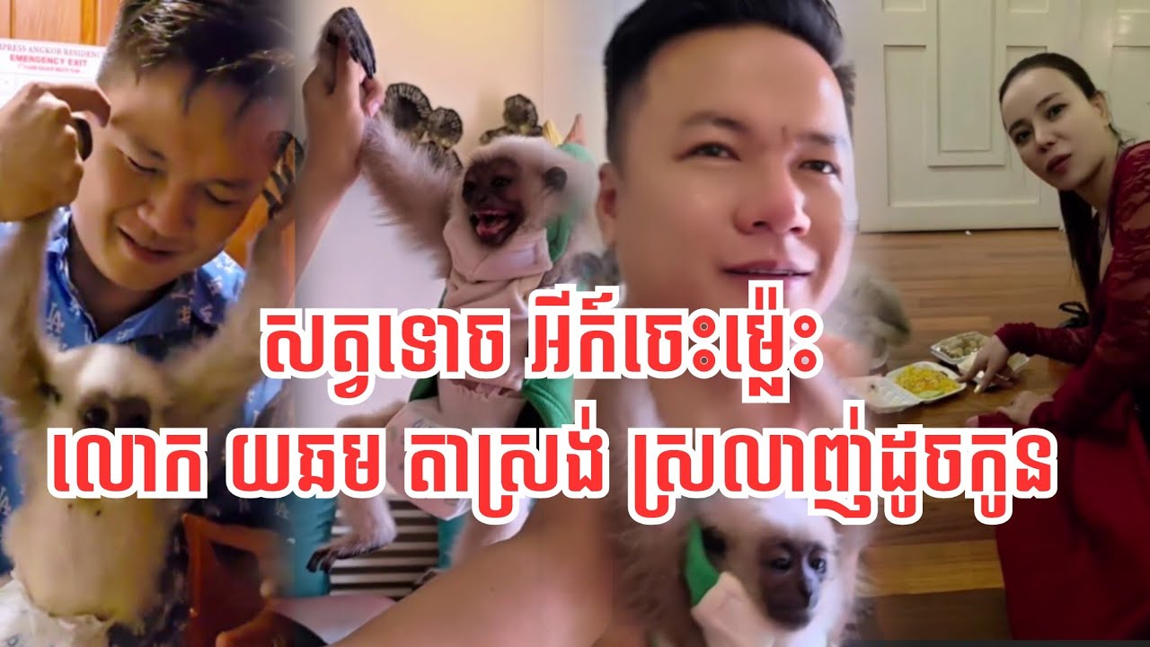 ម៉ាក់អុីអុី កំពុងថាយកកូនស្រីមួយអោយ លោក កឹម តាស្រង់ ឥឡូវបាន កូនទោចមួយចេះឆ្លាត ដូចមនុស្ស  