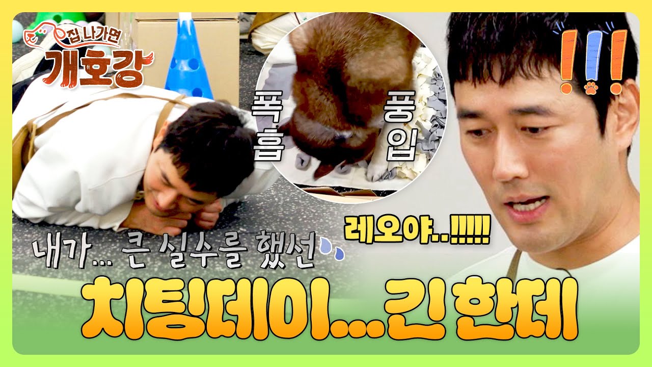 오늘은 먹어도 돼😜 간식의 늪에 빠진 '레오'와 사투를 벌이는 한선 쌤ㅋㅋ | 집 나가면 개호강 3회 | JTBC 250608 방송