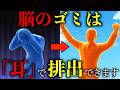 【脳科学】寝ても疲れが取れない本当の理由は「耳」にありました。3秒で脳のゴミを排出する方法