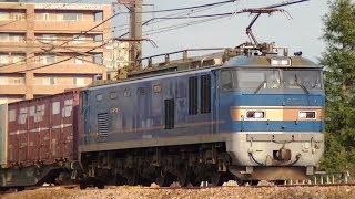 EF510-514牽引高速貨物3098ﾚ　札幌→福岡