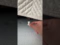寝ぼけている柴犬の前におやつを出してみると…#shorts #柴犬