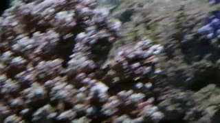 20160425 5
