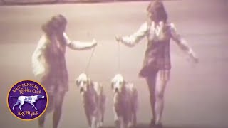 WKC Archives: Best in Brace 1971