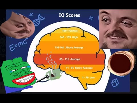 Forsen Takes an IQ Test (With Chat)