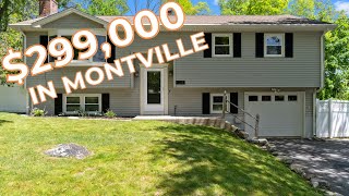 11 Blais Road video tour