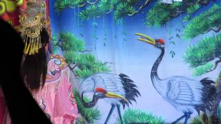宏聲歌劇團 藍雅君