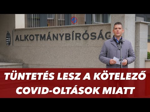 Videó: Mi a végrehajtó hatalom meghatározása?