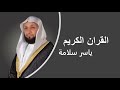 القران الكريم ياسر سلامة الصفحة 290 