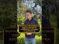 The Formula Of European Odessa What Should Be Adopted From Paris And Barcelona 