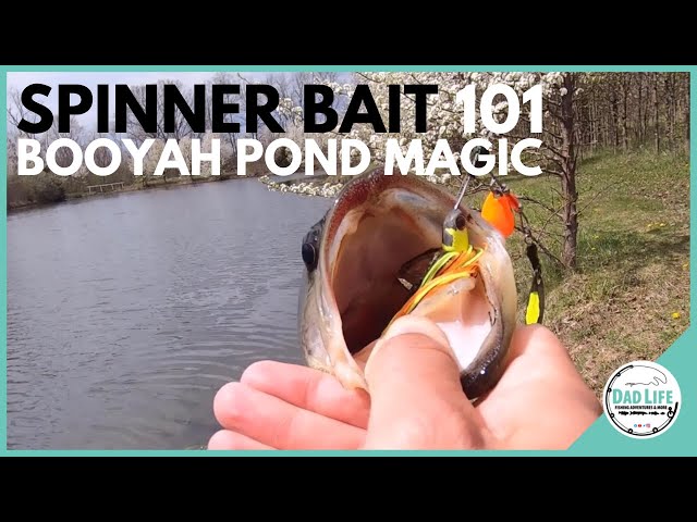 Booyah Pond Magic Spinnerbait--Prespawn Pond Bass 