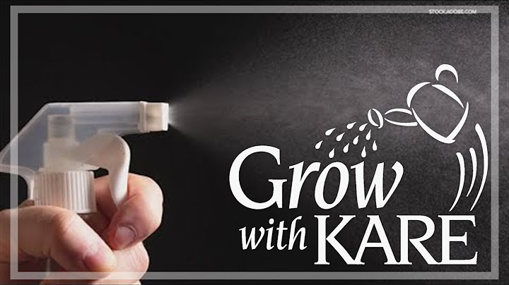 Grow with KARE: Using vinegar to kill weeds