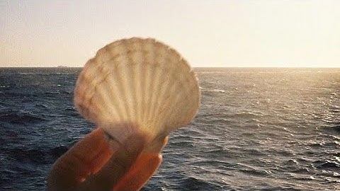 Tutorial membuat aplikasi Flashlight menggunakan MIT APP INVENTOR