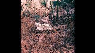 Seeress - Reversal of Life