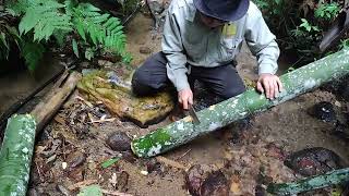 Simple way to get clean water from the stream for use|BAMBOO96. #BAMBOO96.