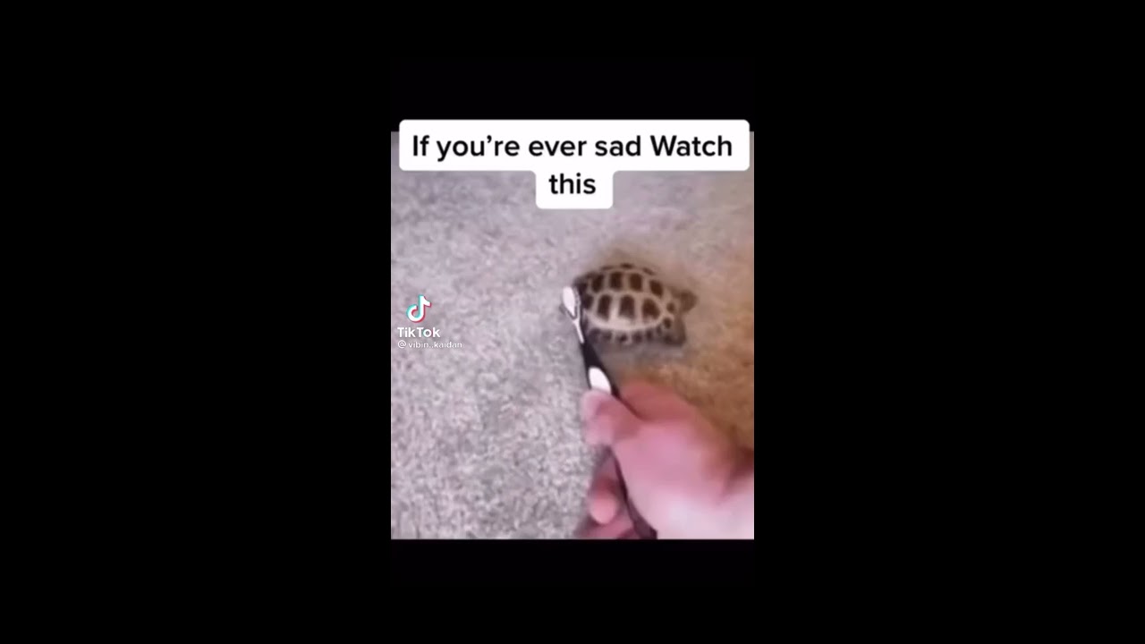 If Your Sad Watch This Video 