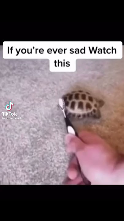 If your sad watch this video✨💗