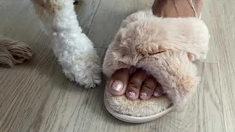 Experience ultimate comfort with COFACE's Fuzzy Faux Fur House Slippers