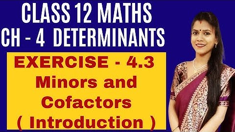 Minors and Cofactors | Ch - 4 Determinants Exercise - 4.3 ( Introduction ) | Class 12 maths