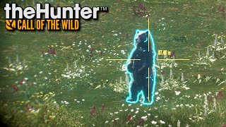 Teren niedźwiedzi | theHunter: Call of the Wild (#66) screenshot 5