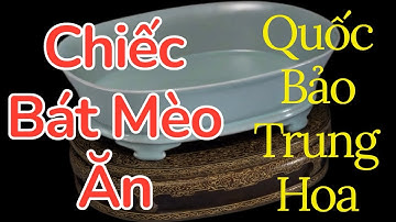 Bí Ẩn Chiếc "Bát Mèo" Khiến Vua Càn Long Mê Mẩn - Chỉ Còn 6 Chiếc Trên Thế Giới.