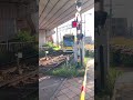 【鹿児島市電1013号】【新川4号踏切】を通過します。 #shorts #鹿児島市電 #tram