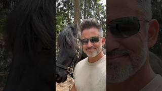 We are SO GRATEFUL for all of you! #friesian #horse #grateful #life #thankyou #community #love e