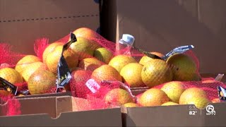Hunger relief organization Feeding South Florida sees dramatic drop in food available to distribute