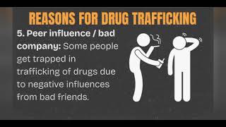 Social Studies: Drug trafficking