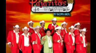 LOS PAJARITOS DE TACUPA MICH - CARIÑO DONDE ANDARAS EN VIVO LOS PAJARITOS DE TACUPA MICH - CARIÑO DONDE ANDARAS EN VIVO