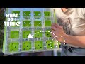 REVIEW| Homeschooler start a flower garder | Burpee SuperSeed Seed Starting Tray | 16 XL Cell | Reus