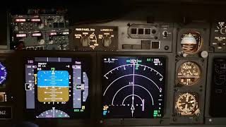 Boeing 737-800 ILS Self Tests