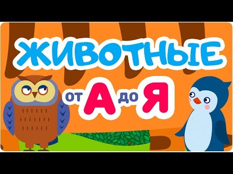 ЖИВОТНЫЕ от А до Я. Мульт АЗБУКА. Цып-Цып ТВ. Алфавит для малышей.