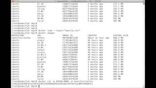 SoftLayer - Tutorial Number Ten Part Four - Moving our Node.js app to SoftLayer using Docker Profile