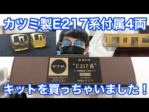 I bought something crazy! I bought the Katsumi E217 Series 4-Car