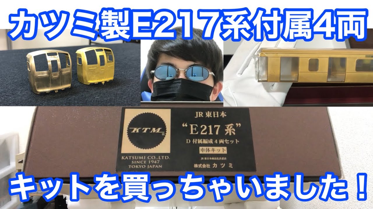 I bought something crazy! I bought the Katsumi E217 Series 4-Car