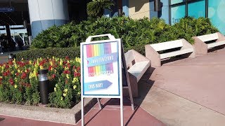 Colortopia | Epcot | Full Experience