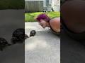 They didn’t want anything to do with me😂🐢