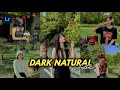 50+ PRESET LIGHTROOM | DARK NATURAL AESTHETIC | LIGHTROOM TUTORIAL
